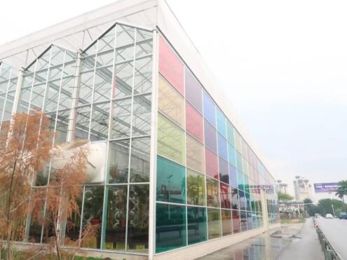 陽光房用耐力板好不好？