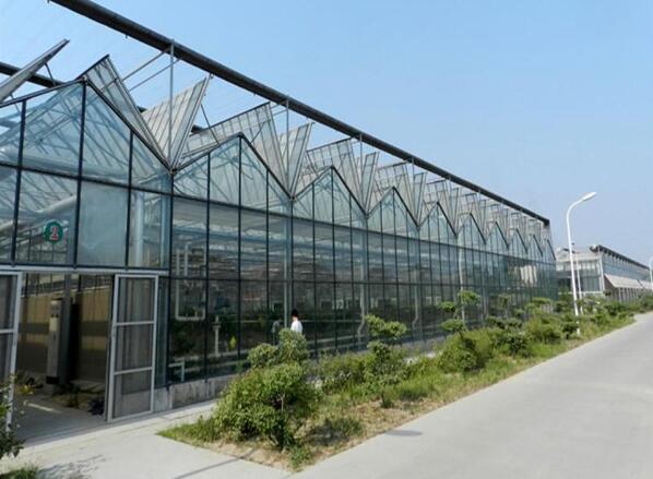 PC陽(yáng)光板溫室大棚